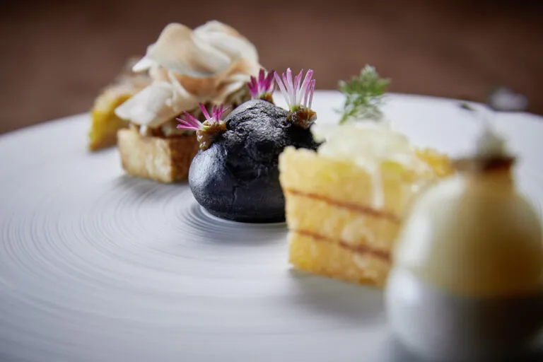 Fünf süße Häppchen sehr edel auf einem weißen Teller angerichtet.