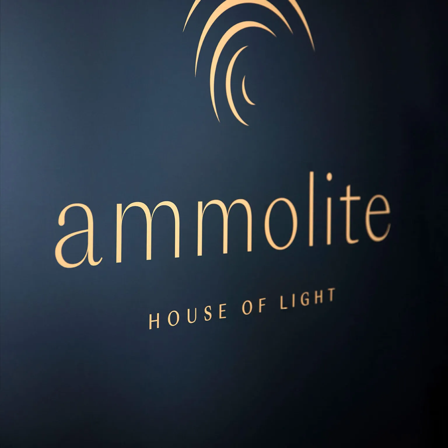 Nahaufnahme einer dunkelblauen Karte mit dem goldenen Schriftzug Ammolite – House of Light.